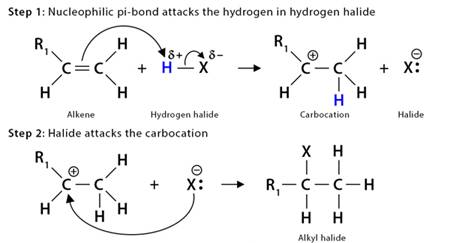 https://www.chemistrylearner.com/wp-content/uploads/2021/11/Hydrohalogenation-Mechanism.jpg